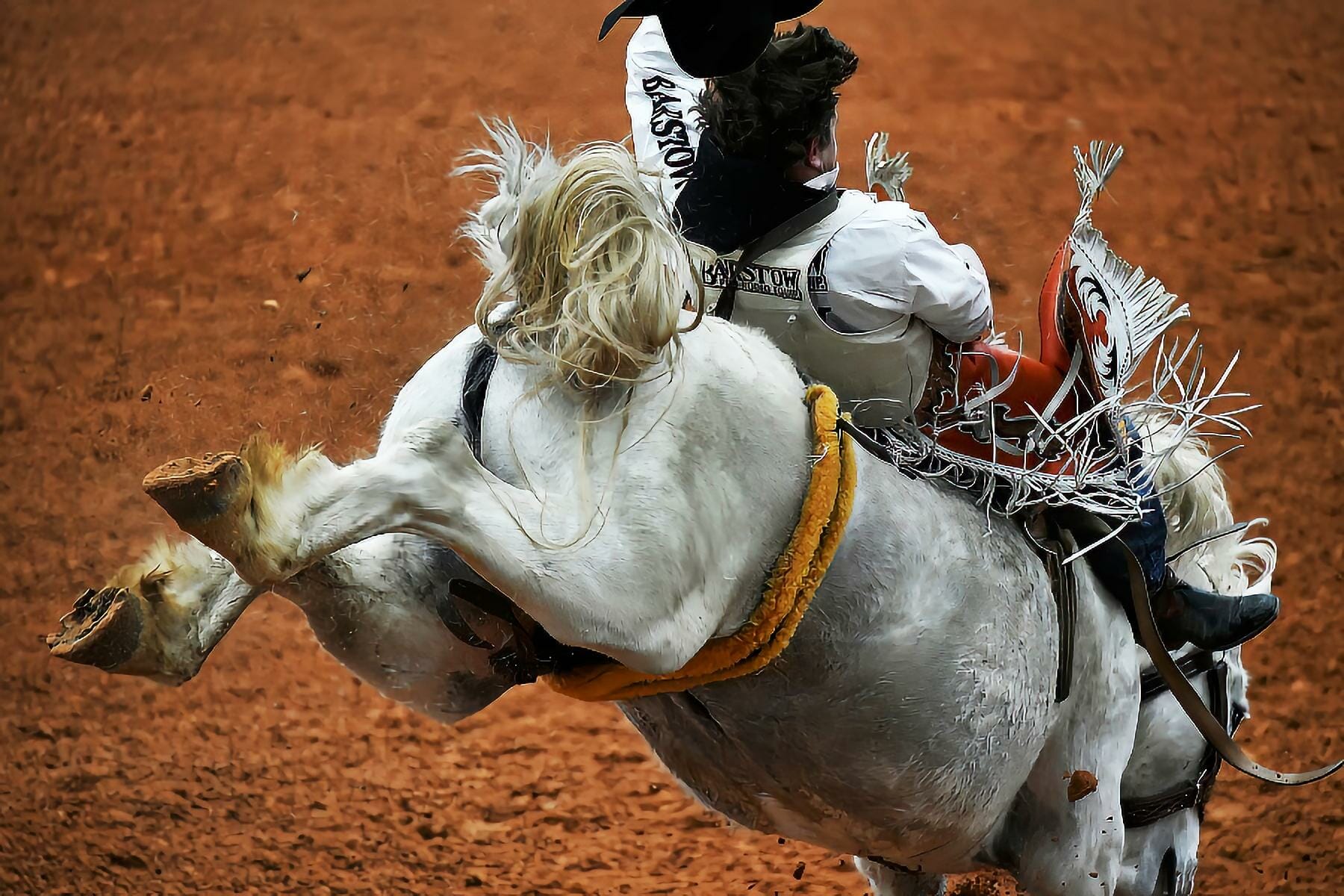This Arcadia Rodeo's Got It All!