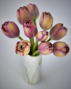 Happy Tulips! Happy Easter! Happy Spring!